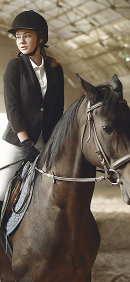 horse